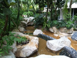Tanamera Crest (D16), Condominium #368615631